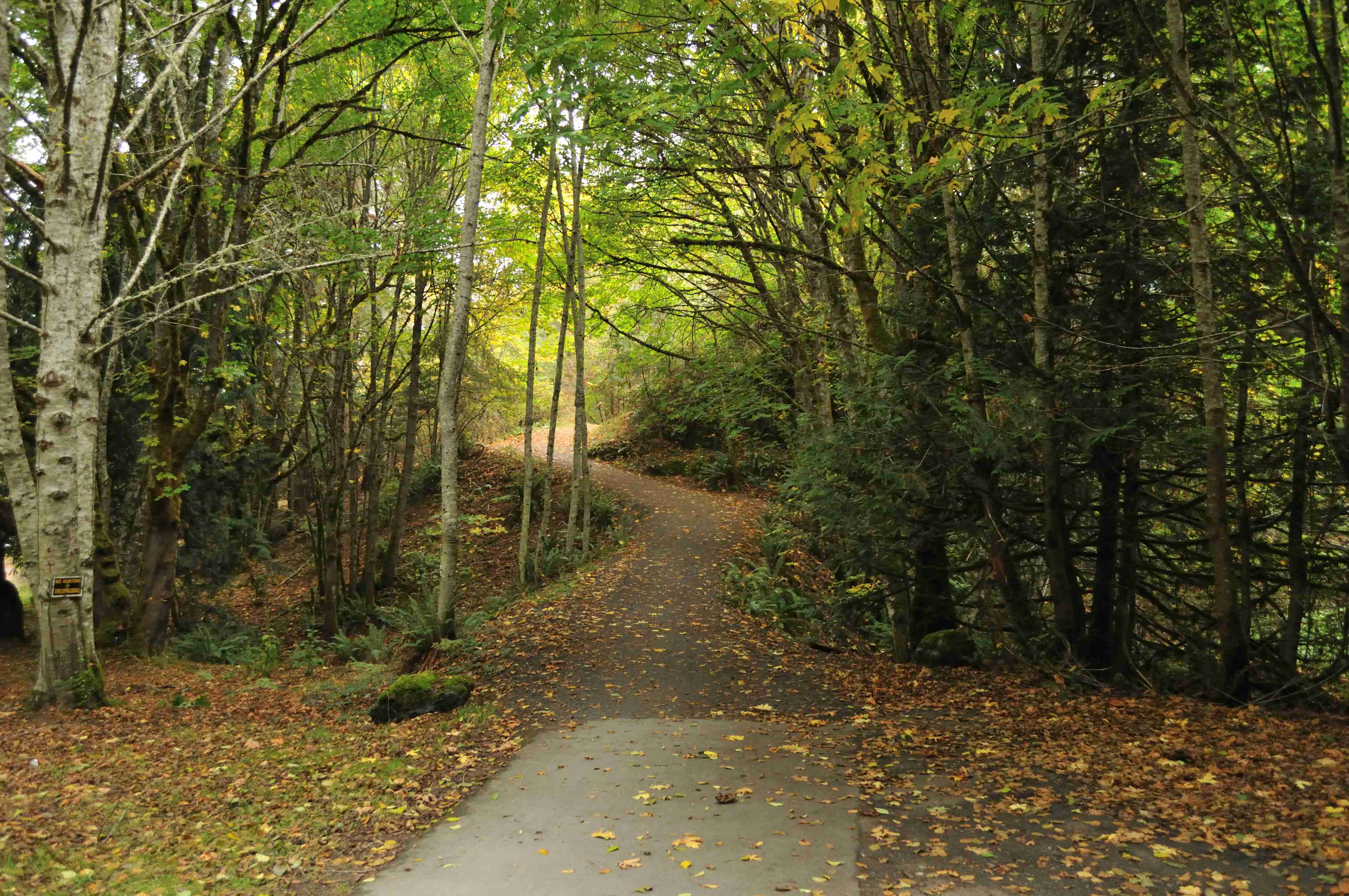 Bike The Galloping Goose Trail