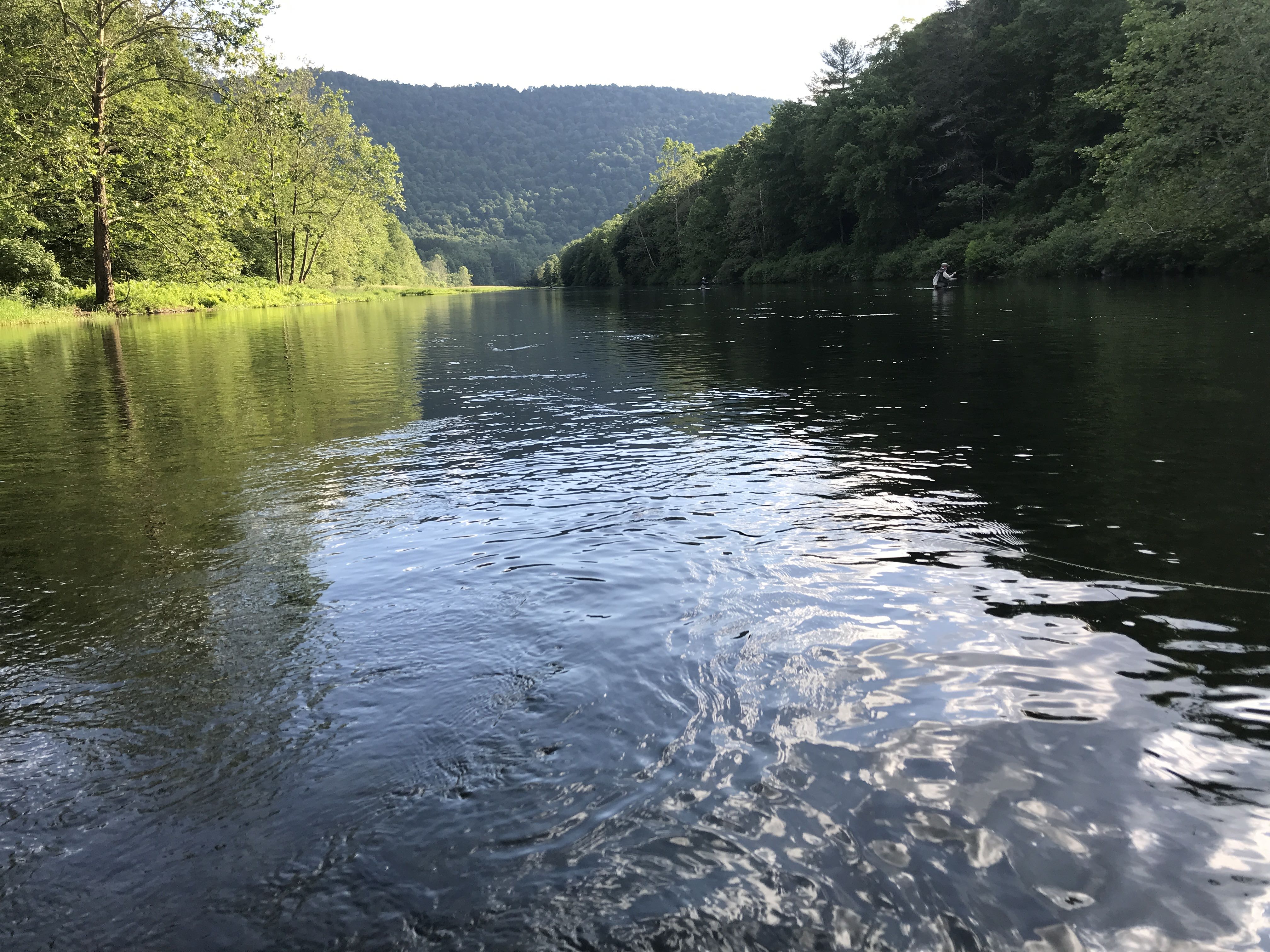 Moving to Roscoe, NY
