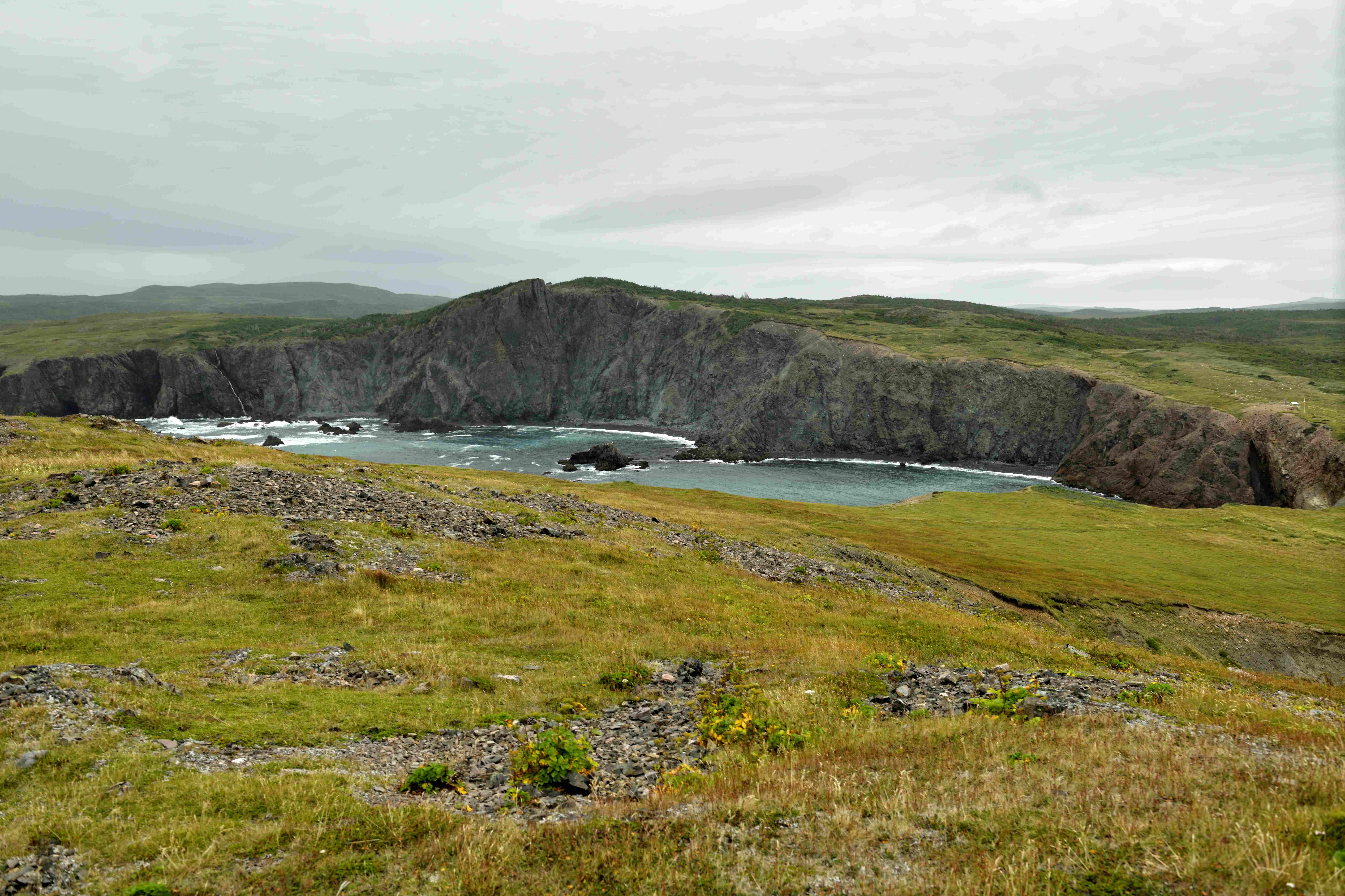 Chamber Cove Trail