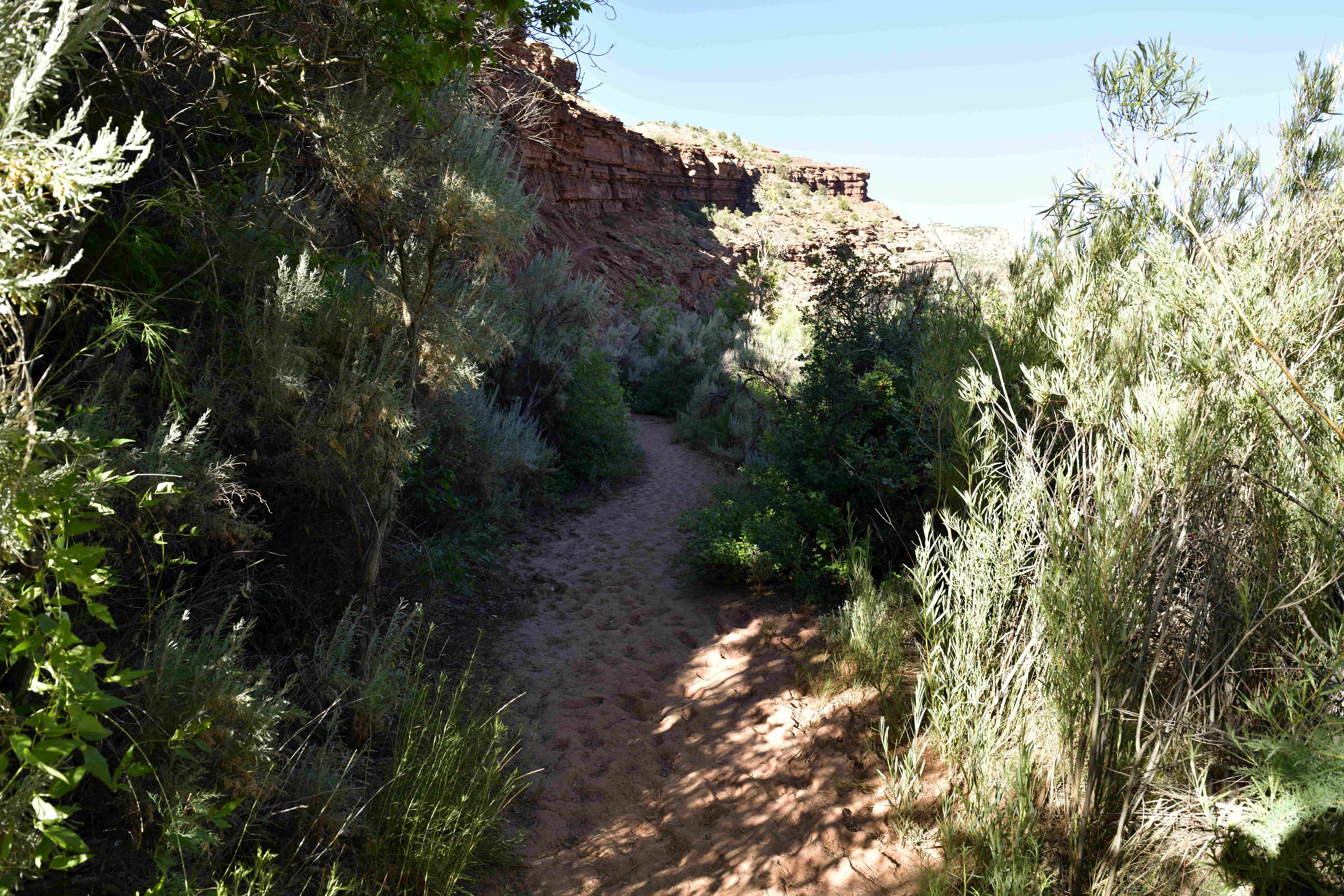 The Loneliest Road, Capital Reef National Park: The Fremont River Trail and Capital Gorge Trail.