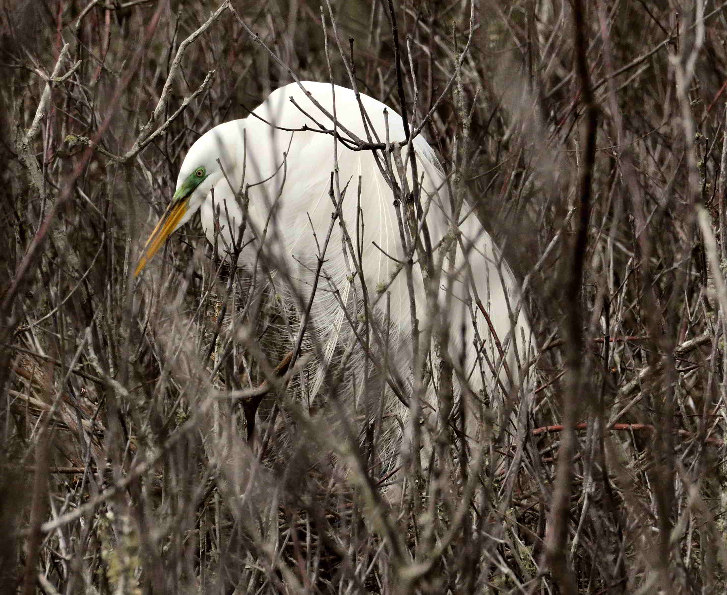 The Marshes of St. Andrews State Park