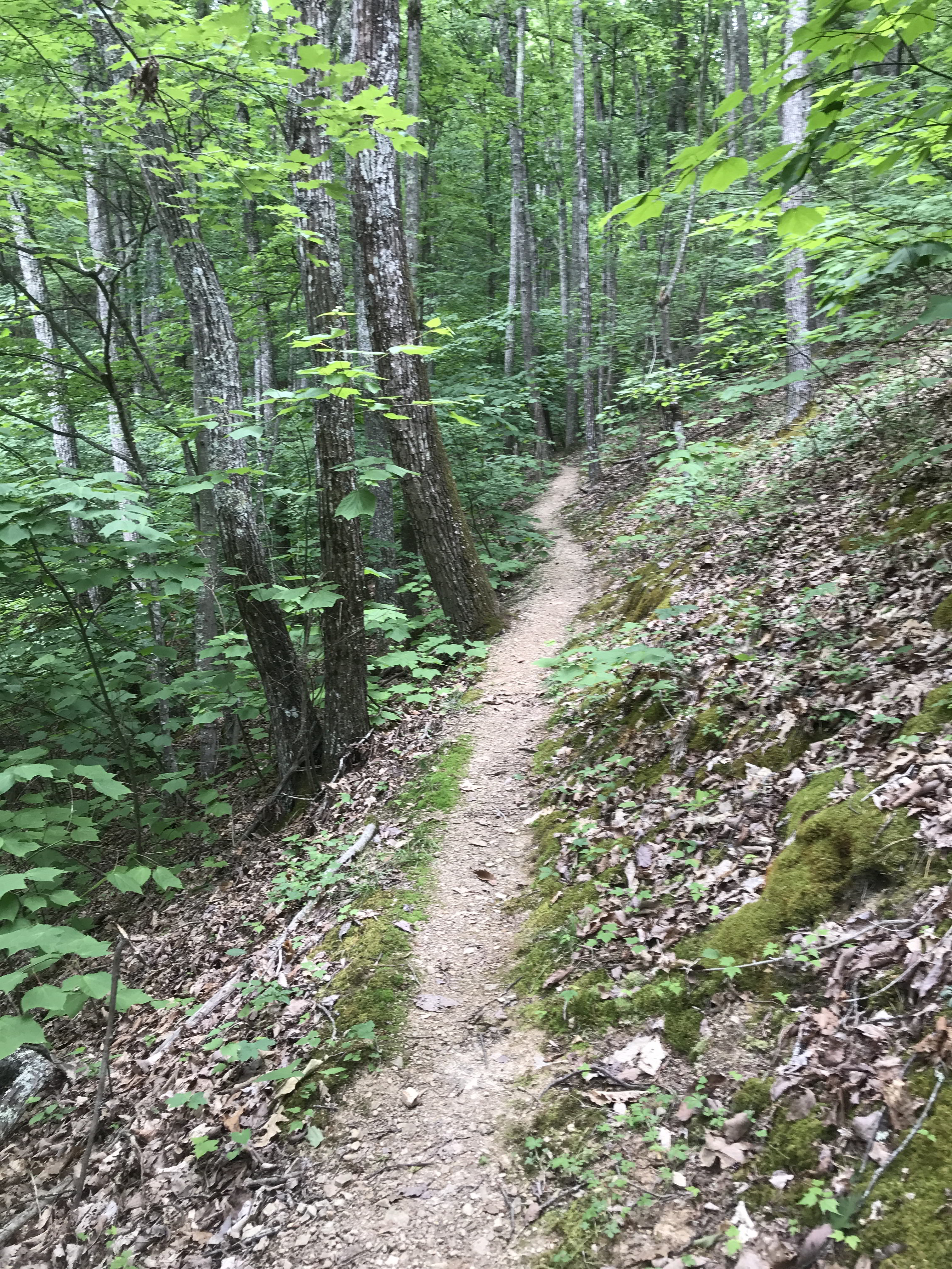 The Seven Sisters Trail