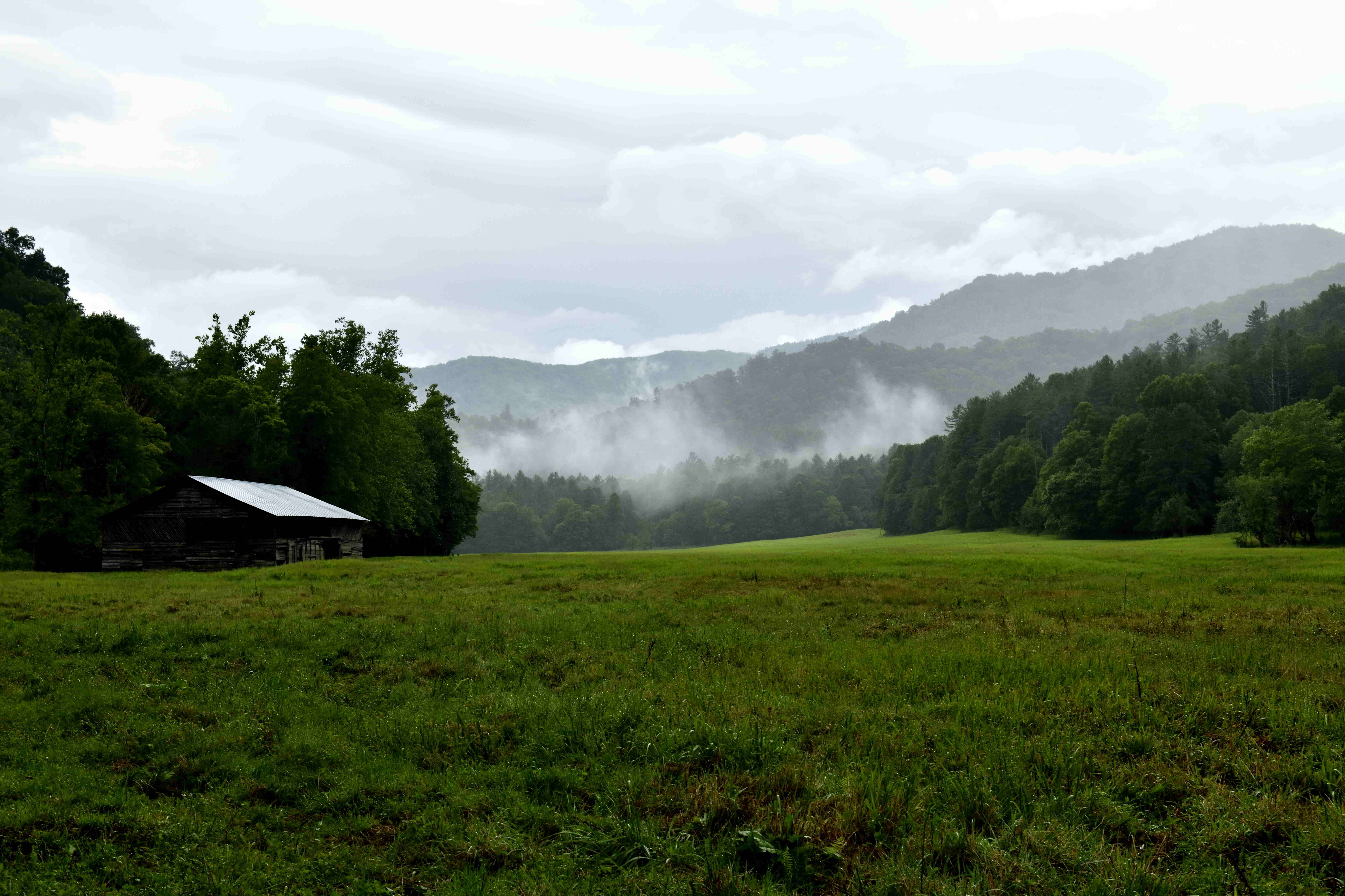 Cataloochee Campground and The Possessed Truck