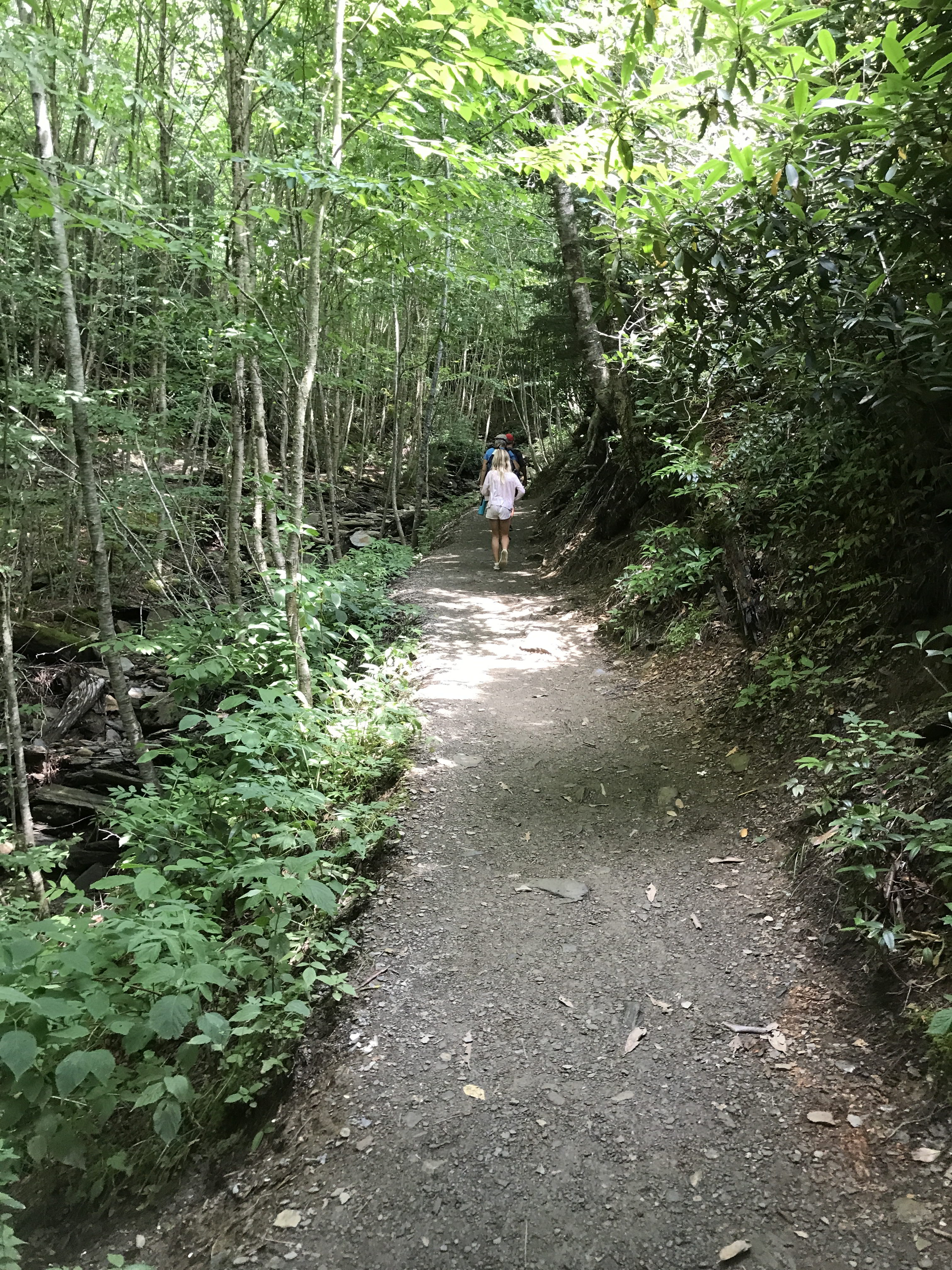 Hike Mt. Le Conte to the Bluffs