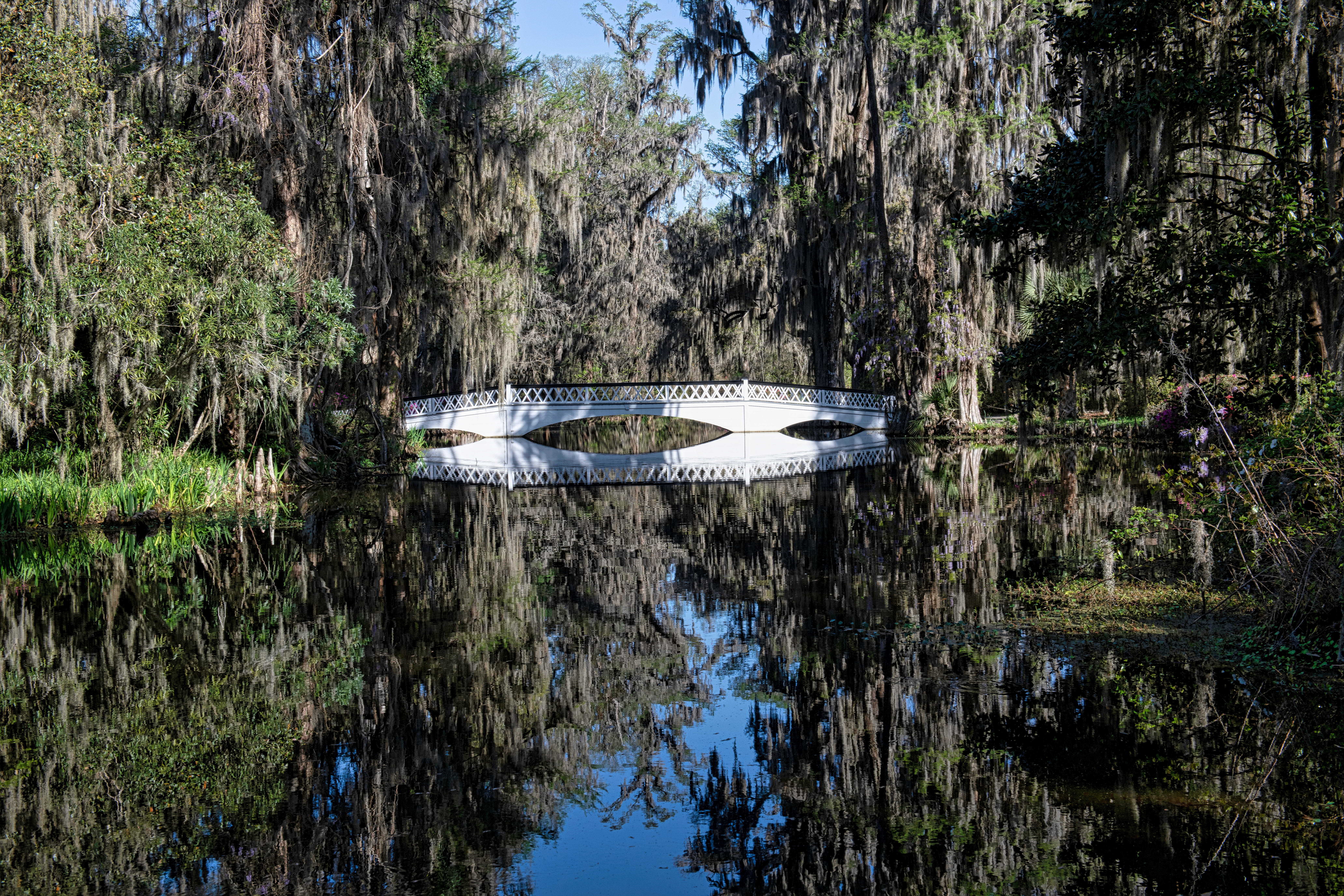 Magnolia Plantation and Gardens