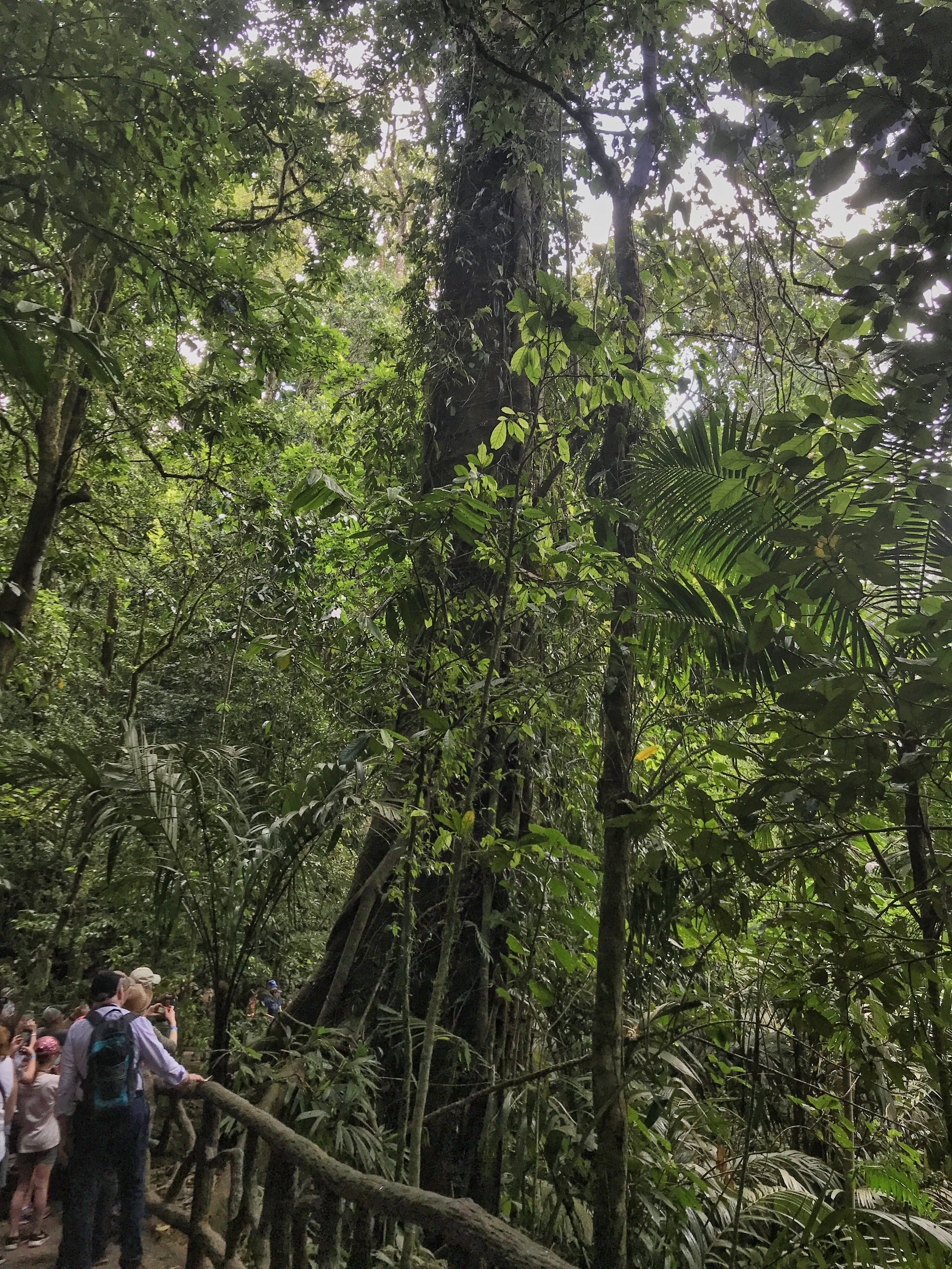 Costa Rica, Wednesday April 3