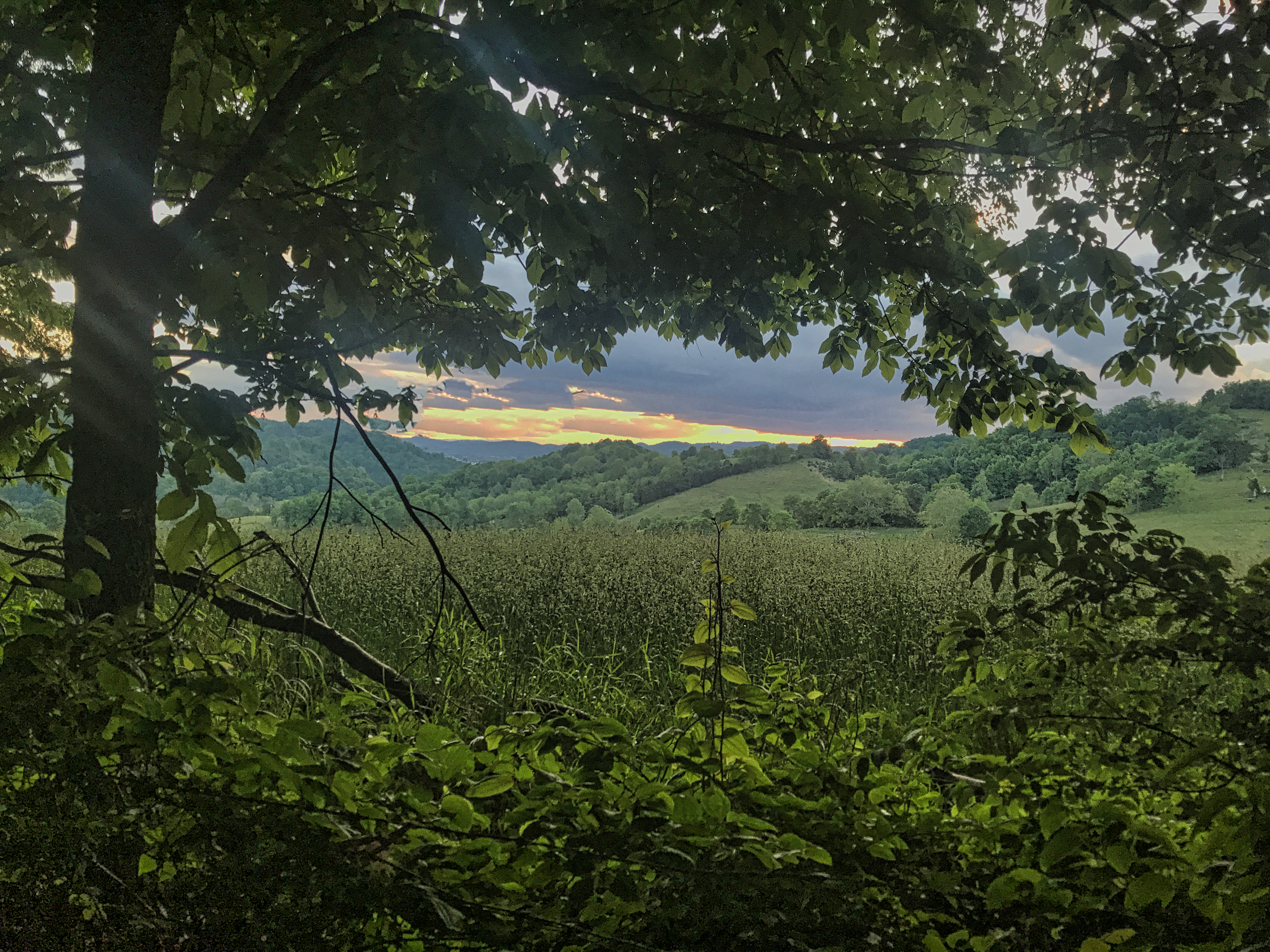 Silver in The Streets, Abingdon, Virginia