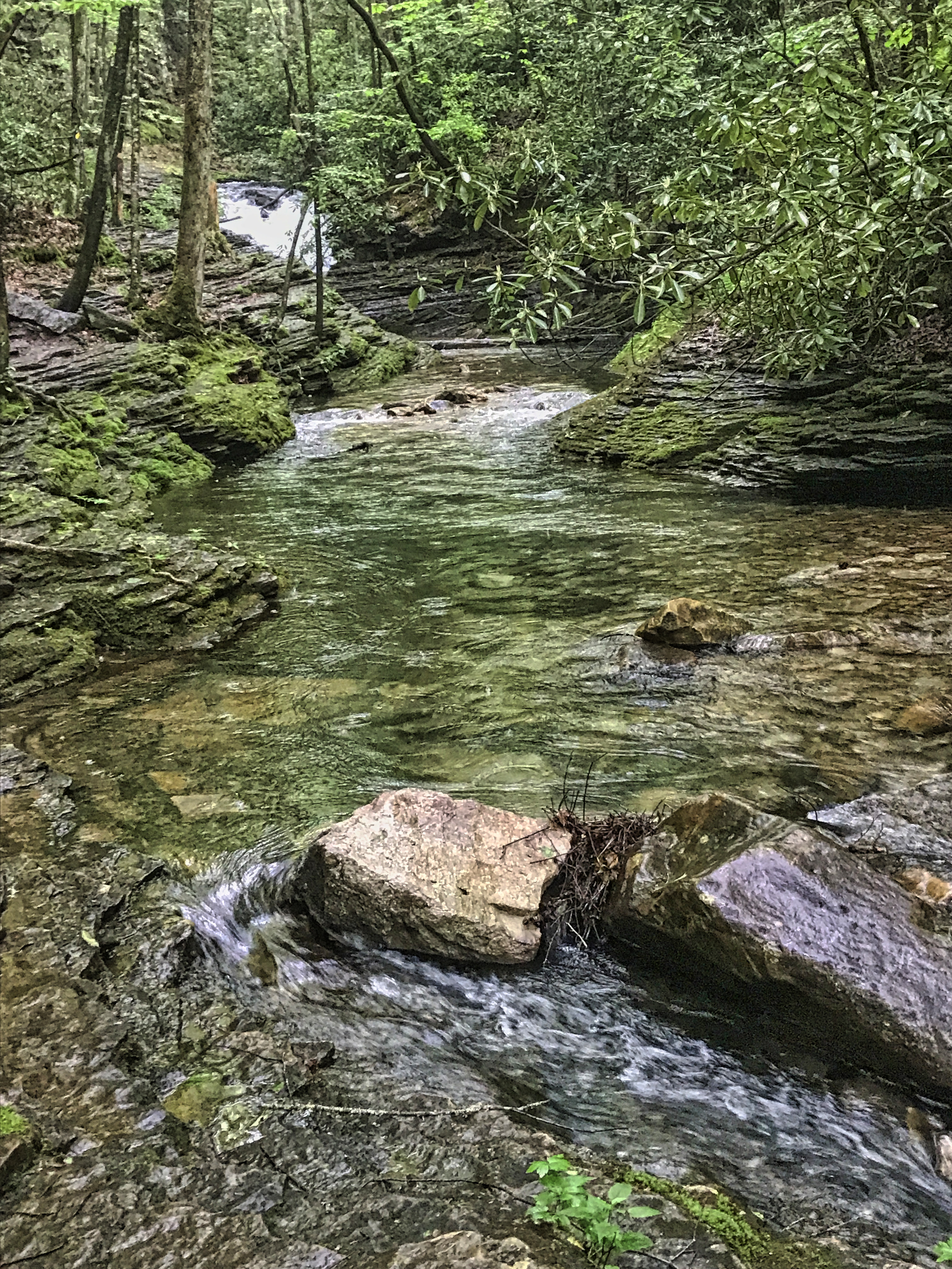 Silver in The Streets, Friday